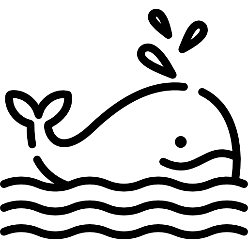 whale